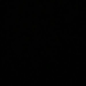 Meet your Posher, Shalyn